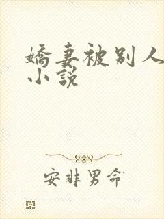 娇妻被别人调教小说
