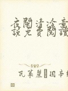 夜阑清冷意欢小说免费阅读封面