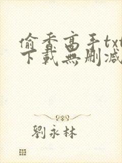 偷香高手txt下载无删减