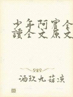 少年阿宾全文阅读全文原文