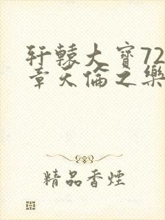 轩辕大宝720章天伦之乐封面
