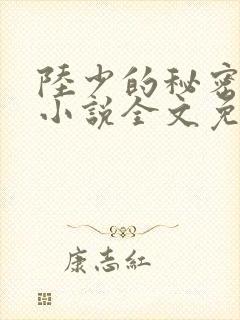 陆少的秘密恋人小说全文免费阅读