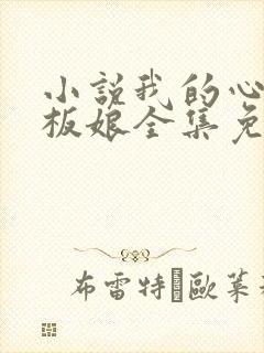 小说我的心动老板娘全集免费封面