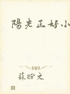 阳光正好小说封面