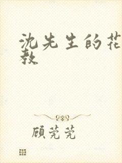 沈先生的花式调教