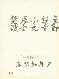 楚辰小说免费阅读全文章节