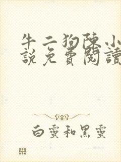 牛二狗陈小燕小说免费阅读无弹窗