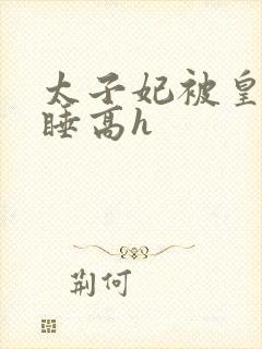 太子妃被皇上强睡高h封面