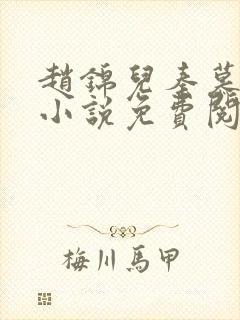 赵锦儿秦慕修的小说免费阅读全文