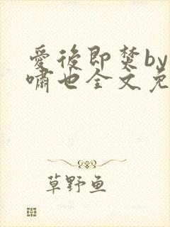 爱后即焚by林啸也全文免费阅读笔趣阁封面