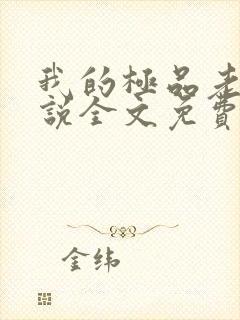 我的极品老婆小说全文免费阅读