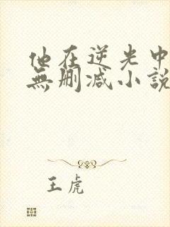 他在逆光中告白无删减小说