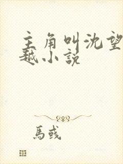 主角叫沈望的穿越小说