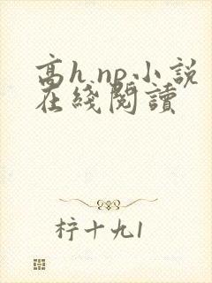 高h np小说在线阅读