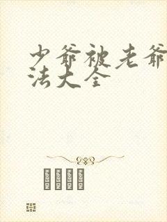 少爷被老爷打家法大全封面