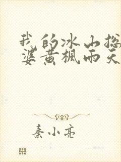 我的冰山总裁老婆黄枫雨天