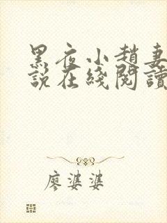 黑夜小赵妻子小说在线阅读封面