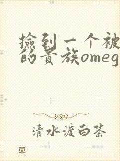 捡到一个被抹布的贵族omega