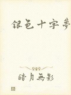 银色十字梦封面