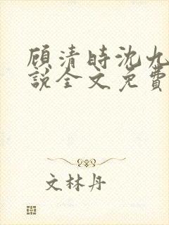顾清时沈九笙小说全文免费阅读全文