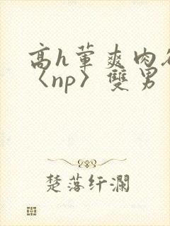 高h荤爽肉欲文〈np〉双男