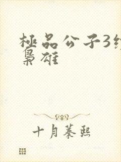 极品公子3续世枭雄