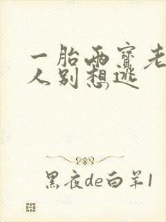 一胎两宝老婆大人别想逃封面