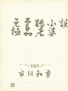 免费听小说我的极品老婆封面
