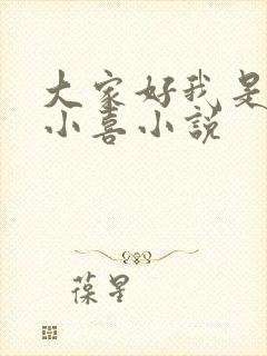 大家好我是叫林小喜小说