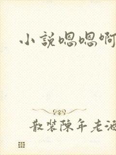 小说嗯嗯啊啊