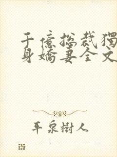 千亿总裁独宠替身娇妻全文阅读小说