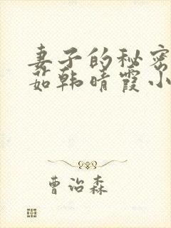 妻子的秘密林雅茹韩晴霞小说免费阅读封面