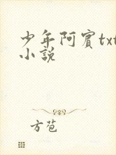 少年阿宾txt小说