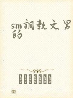 sm调教文男男的