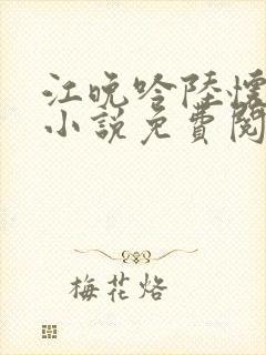 江晚吟陆怀璟的小说免费阅读封面