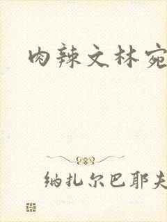 肉辣文林宛宛封面