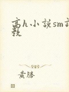 高h小说sm调教
