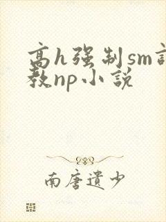 高h强制sm调教np小说