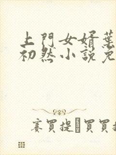 上门女婿叶辰萧初然小说免费