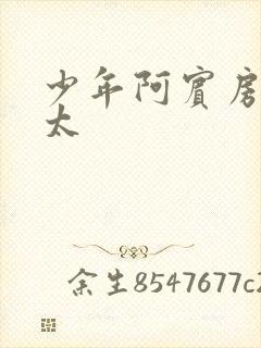 少年阿宾房东太太