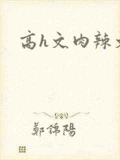 高h文肉辣文