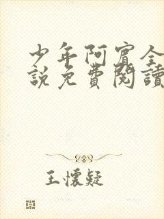 少年阿宾全文小说免费阅读