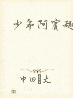 少年阿宾趣笔阁