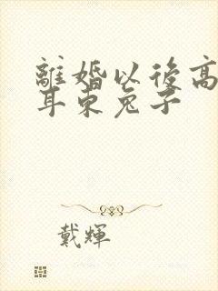 离婚以后高干 耳东兔子封面