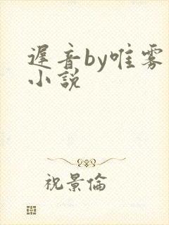 迟音by唯雾的小说封面