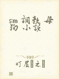 sm 调教 母狗 小说封面