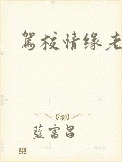 驾校情缘老赵