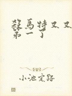 杀马特又又又考第一了