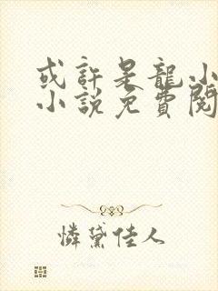 或许是龙小姐吗小说免费阅读