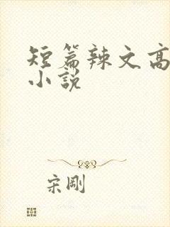 短篇辣文高h文小说